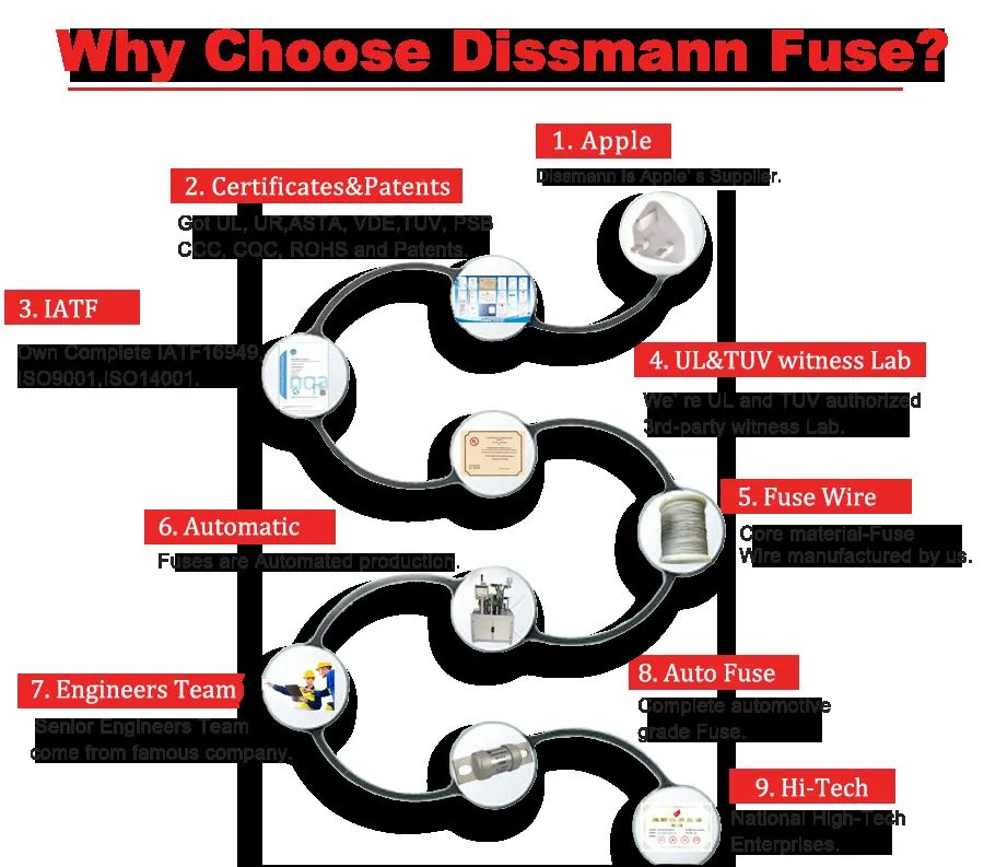 Dissmann fuse