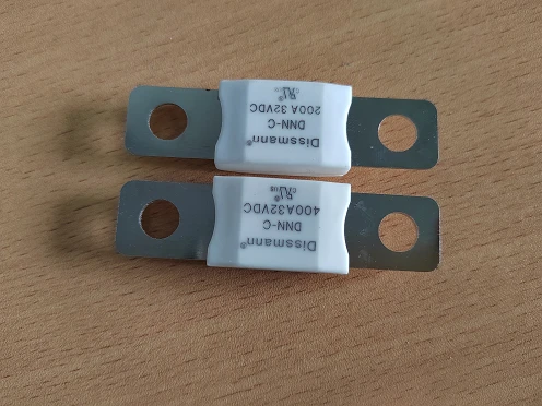 Battery Charger Fuse