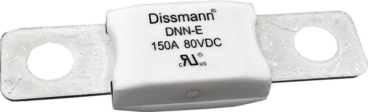 Battery Charger Fuse
